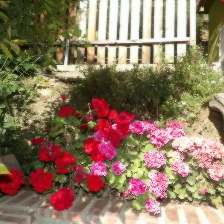 Sminos E4 Path, γυθειο Feriehus