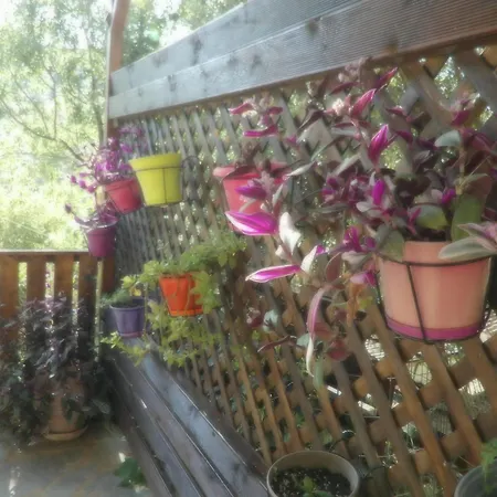 Sminos E4 Path, γυθειο Feriehus *