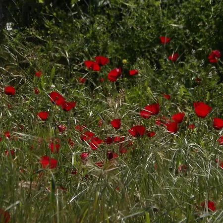 Feriehus Sminos E4 Path, γυθειο *