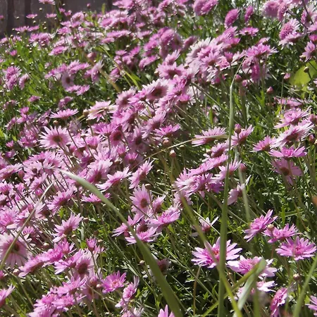 Sminos E4 Path, γυθειο Hébergement de vacances