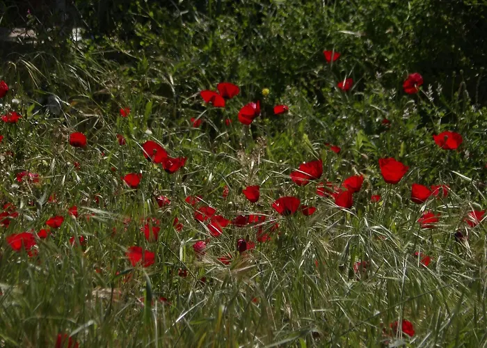 Casa de Férias Sminos E4 Path, γυθειο *
