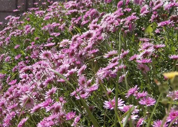 Sminos E4 Path, γυθειο Casa de Férias