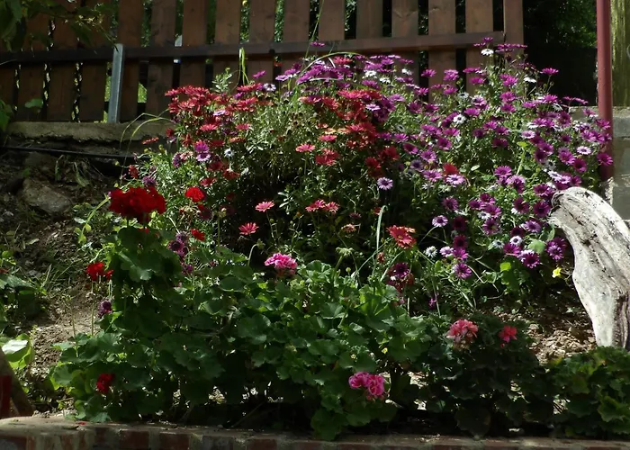 Sminos E4 Path, γυθειο * Monachi Sikia